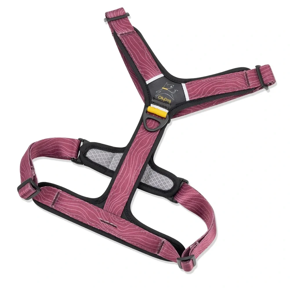 Ollydog Alpine Reflective Comfort Harness and Flagstaff Adjustable Leash